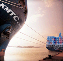 提货、海运进口业务